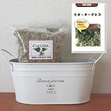 ウォータークレスの栽培セット/標準セット（液体肥料なし）プランターホワイト仕様