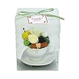 パラボッセ プリザーブドフラワー カプチーノ ミント クリアケース入 横幅10cmx10cmx高さ13cm preserved flowers