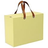 ナカバヤシ ライフスタイルツール 収納カバンA4サイズ LST-SK02YL イエロー 1個