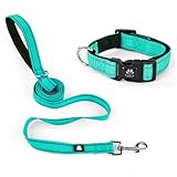 NESTROAD 犬用リード 夜間反射 持ちやすい 長さ1.5M 小型犬・中型犬・大型犬用 手に優しい犬リード 訓練 散歩 ロング 脱走防止 軽量 ナイロン製（グリーン,1本）