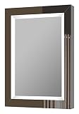 LTLホーム製品li5096 Rio Lighted LED化粧台ミラー、24 " x 31.75 "