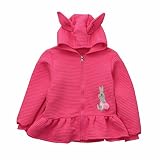 ホット、yang-yi幼児用子供用ベビー女の子フード付きコートジャケットカーディガン長袖トップスアウター 85cm/3T ブルー