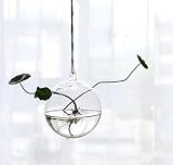 おしゃれ 花瓶 ぶら下げ式 ガラスボトル 水耕栽培 プレゼント 飾り クリア吊り花瓶 インテリア 置物(ボール型)