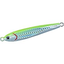 Amazon.co.jp: ダイワ(DAIWA) ジグ ソルティガTGベイト80g PH 