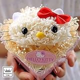 ハローキティ の プリザーブド フラワー タイプ-B 陶器ポット 箱入り