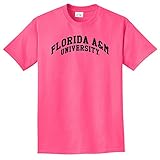 NCAA Florida A & M RattlersアーチネオンTシャツ、ネオンピンク、3 x l