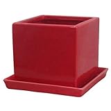 インテリアポット　タリーズ　キューブ　レッド　14cm　皿付 (穴有)　2個入り　／植木鉢