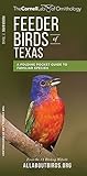 Waterford Press WFP1620052204 Feeder Birds of Texas Guide