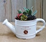 アンティーク風 おしゃれで かわいい じょうろ型 フラワーポット 英字 陶器製 植物用 容器 観葉植物などに