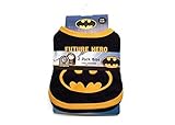 Batman "Future Hero" 2 Pack Bibs Baby Bibs with Batman Logos and Emblem by KWC [並行輸入品]