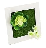 Mille Ti Rana 壁に掛けれる インテリア グリーン 造花 観葉植物 多肉植物 ３D アート フラワー (白1)