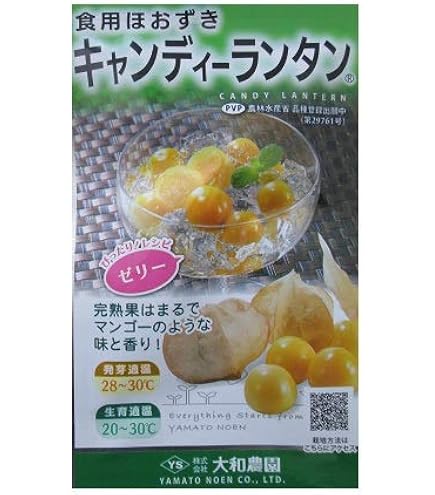 Amazon.co.jp: 藤田種子 食用ホオズキ 早生大玉ストロベリートマト
