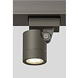 リクシル　TOEX　12V　美彩　ダウンスポットライト　DNSP-G2型 15°　LED　8 VLH15 AB　『リクシル　ローボルトライト』　『エクステリア照明 ライト』 オータムブラウン