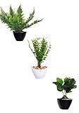 MedianField 【 観葉植物 壁掛け 鉢 3個 セット 】 フェイクグリーン シダ モンステラ ユーカリ 観葉 植物 造花 人工観葉植物 インテリア おしゃれ 雑貨 人工 フェイク 緑 グリー