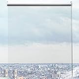 ロールスクリーンキッチン窓用ローラーブラインド幅150cm幅、PVC透明ビニール防水カーテン、Pergola/Corridorに適している W150×H170cm