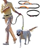 両手がフリー 犬 リード 伸縮 中型犬 大型犬 肩掛け 反射 腰ベルト 小型犬 犬リード 犬用リード 散歩 伸びる ショルダー 光る (オレンジ)
