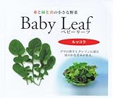 【種子】ベビーリーフ・ルッコラ 1dl
