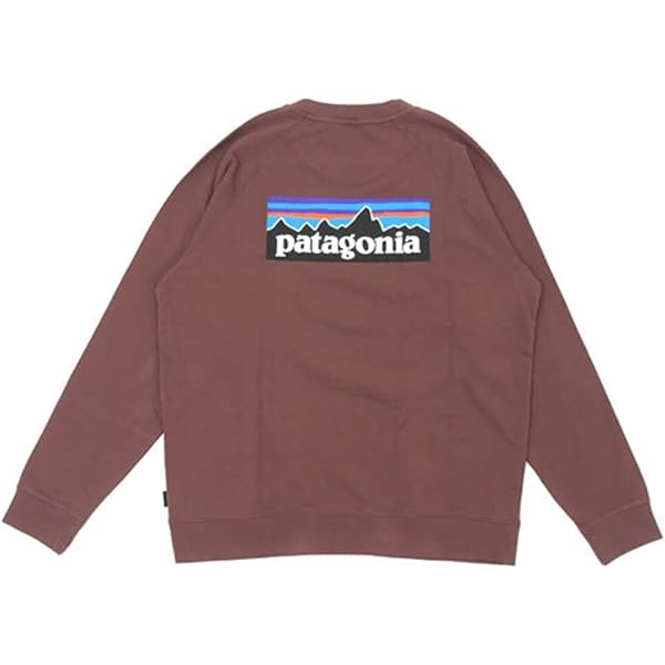 Amazon.co.jp: [Patagonia (パタゴニア)] 21FW M's P-6 Logo