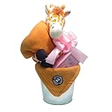 出産祝い/ふわふわブランケットとラズベリーリーフのバケツアレンジ・リボンラッピング付き (女の子用)