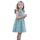 Dourabbi 子供服 女の子 春 幼児 赤ちゃん dress for baby girls キッズ 幼児 子供 赤ちゃん レース フリルの袖 羽のプリント パーティー ドレス ショートスリーブ ス