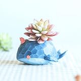 可愛い 動物 植木鉢 プランター ファッション小物 フラワーポット 雑貨 インテリア アウトドア DIY 飾り おしゃれ 多肉植物 寄せ植え 鉢 (ブルー鯨)