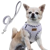 Aiminto デニム犬用ハーネス＆リードセット、通気性の高いメッシュ素材、軽量、ハーネス胸元に反射材付き - 猫や超小型犬用 (ハーネスとリードをセット(ホワイト), XXXS胴範囲24-28cm)