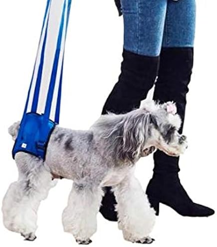 Amazon | 歩行補助ハーネスLaLaWalk 中型犬コーギー用 メッシュ
