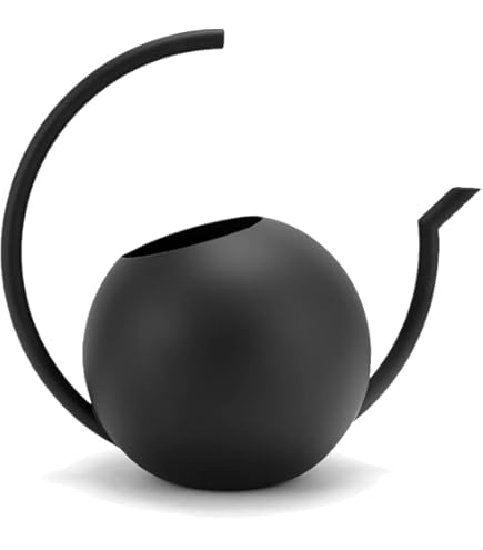 Amazon.co.jp: 如雨露：ステンレス製英国式如雨露 6号 根岸産業*資材