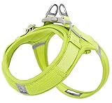 cocomall 喉に優しい犬ハーネス 2023最新 TRUE LOVE日本授権店 犬用ハーネス 犬用胴輪 ドッグ ペット用品 ハーネスリード 3M反射材料 訓練 ナイロン製 超型犬、小型犬、中型犬に向け 通気性 調節可能 夏に対応 (XXS, ライム色)