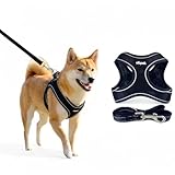 AIBPET 犬用ハーネス＆リードセット 超小型犬から全犬種対応 猫用ハーネス リード引っ張り防止設計 調節可能サイズ夜間反射機能 着脱簡単耐久性・通気性・柔らかメッシュ素材採用 (black, M)