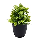 TOSSOW小型 プラスチック人工植物 おしゃれ　可愛い　人工植物 インテリア 人工植物 オフィスや家の装飾 家族や友達のプレゼントクリスマス新年の贈り物