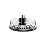 Whitehaus WHOSA29-8-BN Showerhaus Watering Can Showerhead with 141 Spray Holes, 8-Inch, Brushed Nick