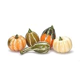 秋インスピレーションMixture of Assorted Gourds and Pumpkins Fall装飾、12ピース