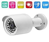 ENSTER 2.0MP IP66 Waterproof Bullet POE Camera Board Lens 36pieces IR LED Mobile Phone View 1/2.7" A