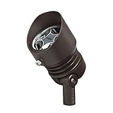 Kichler Lighting 16206BBR30 Design Pro 12.5W 120V 3000K LED Landscape Accent Fixture, Bronzed Brass 