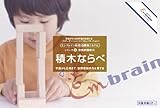 エンブレインIQ開発システム 6積木ならべ