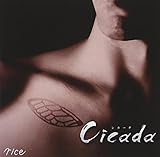 Cicada
