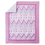 Circo Pink Chevy 4pc Baby Girl Crib Bedding Set [並行輸入品]