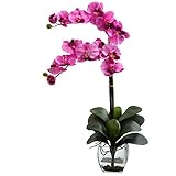 Nearly Natural 1323-MV Double Phalaenopsis Orchid with Vase Arrangement, Mauve [並行輸入品]