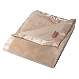 Trend Lab Paddington Bear Embossed Velour Baby Blanket, Brown by Trend Lab [並行輸入品]