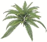タカショー 【観葉植物・グリーンデコ和風】 クイックボストン小 W40cm メンテが楽でリアルな人工植物 GN-45S