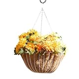 Austram-グリフィスクリークで31007 16を設計します。ハイドパークはプランターホワイトハンギング