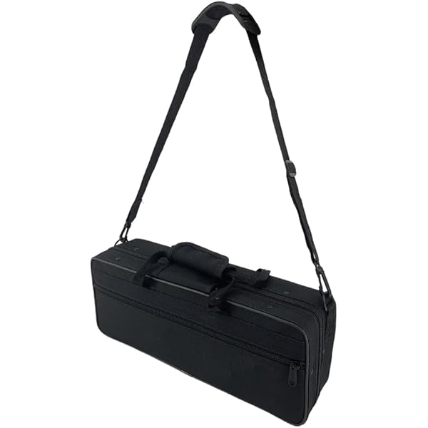 Amazon.co.jp: VICASKY クラリネットケース 黒い クラリネット リード