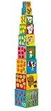 Djeco / My Friends Nesting & Stacking Cubes [並行輸入品]