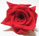 【業務用】【プリザーブドフラワー 花材】ローズ（Sサイズ・約２．５?３cm ）同色10輪入り pfr3 (赤系)