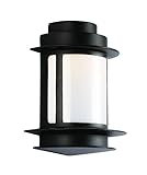 Trans Globe Lighting 40301 BK Union Station Wall Lantern, 11', Black [並行輸入品]
