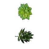 Lovoski 2本　お買い得　人工　多肉植物　プラスチック製　シミュレーション　1本のクワズイモと1本の三字タワー