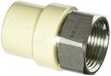 King Brothers Inc. TFS-1000 Female X Socket PXL CPVC X Stainless Steel Transition Adaptor, Tan, 1-In