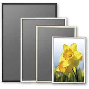 アルテ シェイプ A0 ゴールド SH-A0-GD