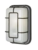 Trans Globe Lighting Southwestern Bulkhead Light, 10, Black by Trans Globe Lighting